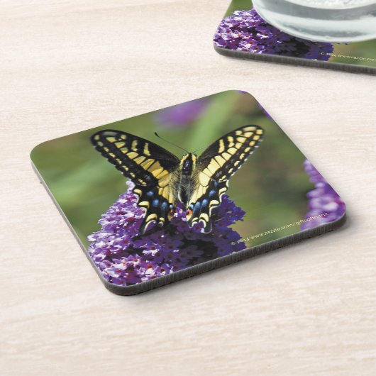 Yellow Butterfly I - set van 6 Onderzetters (Linkerzijde)