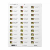 Yellow Butterfly roze Flowers Return Address Etiket (Full Sheet)