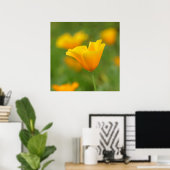 Yellow California Poppy Poster (Thuiskantoor)