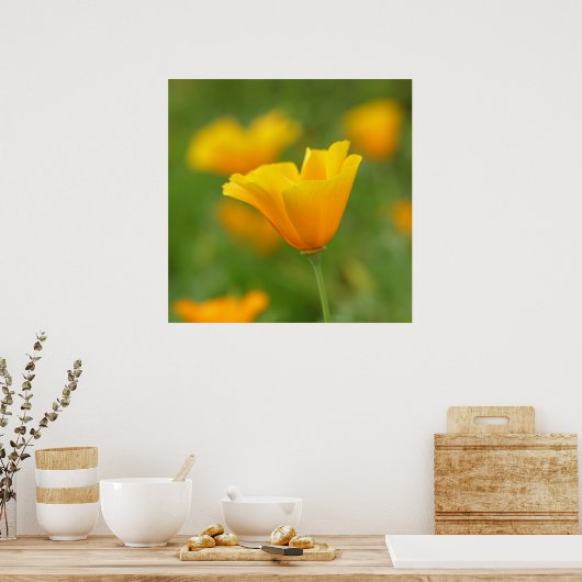 Yellow California Poppy Poster (Keuken)