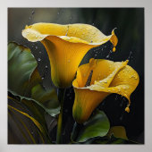 Yellow Calla Lilies Lily Bloemenkunst Print Poster (Voorkant)