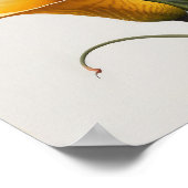 Yellow Calla Lilies Lily Bloemenkunst Print Poster (Hoek)