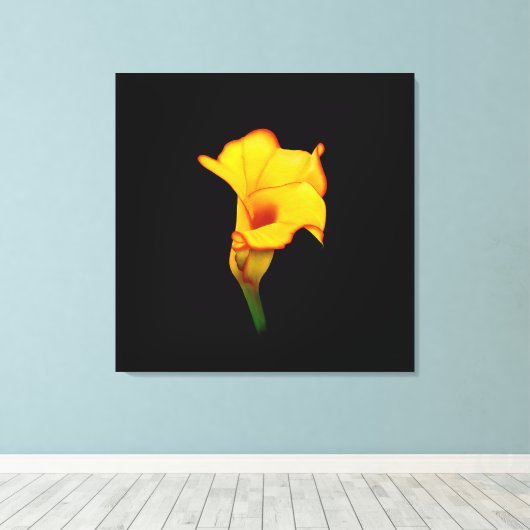 Yellow Calla Lilly Canvas Afdruk (Insitu (Houten vloer))