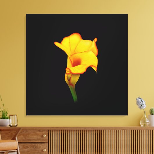 Yellow Calla Lilly Canvas Afdruk (Insitu (Woonkamer))