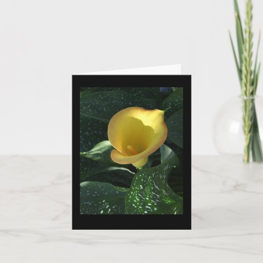 Yellow Calla Lily Blank Notecard Kaart (Voorkant)