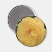 Yellow Camellia Magnet (Voorkant / Achterkant)