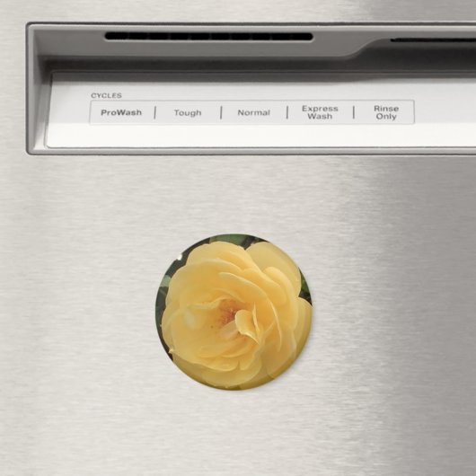 Yellow Camellia Magnet (Insitu (Vaatwasser))