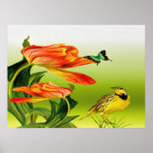 Yellow Canarie name Holly Poster (Voorkant)