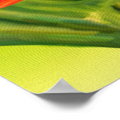 Yellow Canarie name Holly Poster (Hoek)