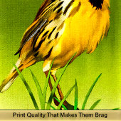 Yellow Canarie name Howey Bad Handdoek