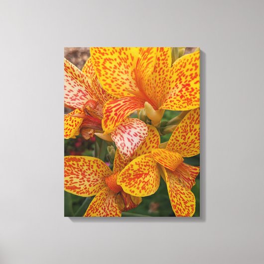 Yellow Canna Lily with Red Speckles Floral Canvas Afdruk (Voorkant)