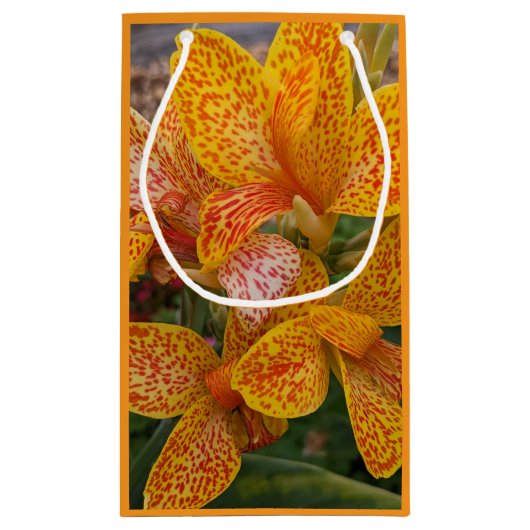 Yellow Canna Lily with Red Speckles Floral Klein Cadeauzakje (Achterkant)