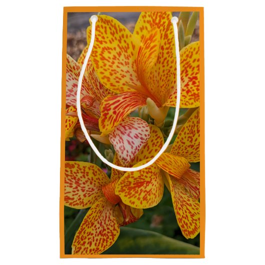 Yellow Canna Lily with Red Speckles Floral Klein Cadeauzakje (Voorkant)