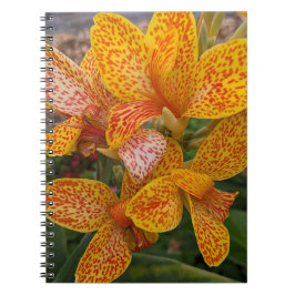 Yellow Canna Lily with Red Speckles Floral Notitieboek