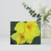 Yellow Cannas Canna Lilies Flower foto Briefkaart (Staand voorkant)