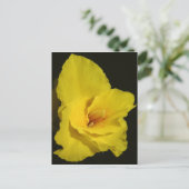 Yellow Cannas Canna Lilies Flower foto Briefkaart (Staand voorkant)
