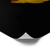 Yellow Cannas Canna Lilies Flower foto Poster (Hoek)