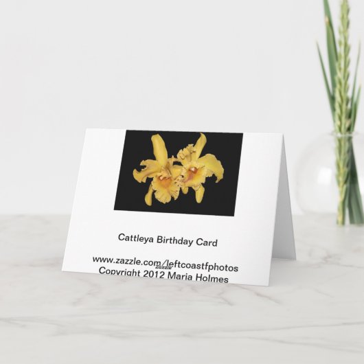 Yellow Cattleya Orchid Verjaardag Kaart (Achterkant)
