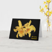 Yellow Cattleya Orchid Verjaardag Kaart (Gele Bloem)
