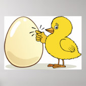 Yellow Chick And Egg Poster (Voorkant)