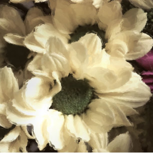 YELLOW CHRYSANTHEMUM FOTO AFDRUK