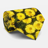 yellow Chrysanthemum "Gordon Taylor" (Florist Chry Stropdas (Opgerold)