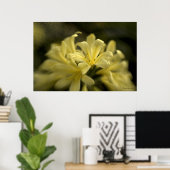 Yellow Clivia Poster (Thuiskantoor)