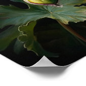 Yellow Columbine Flowers Art Print Poster (Hoek)