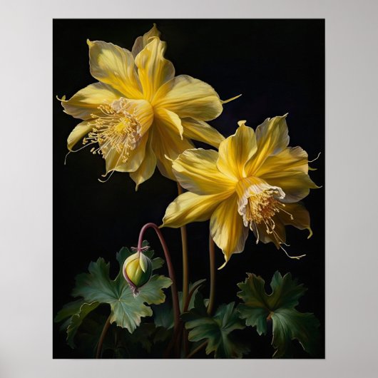 Yellow Columbine Flowers Art Print Poster (Voorkant)
