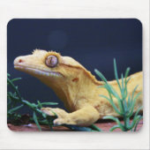 Yellow Crested Gecko Resting Muismat (Voorkant)