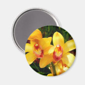 Yellow Cymbidium Orchid Magnet (Voorkant / Achterkant)