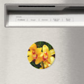 Yellow Cymbidium Orchid Magnet (Insitu (Vaatwasser))