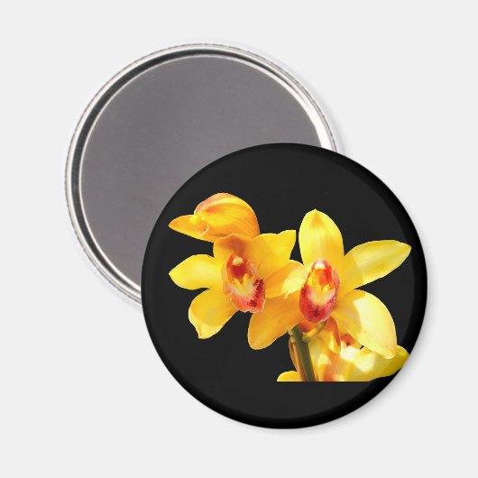 Yellow Cymbidium Orchid Magnet (Voorkant / Achterkant)