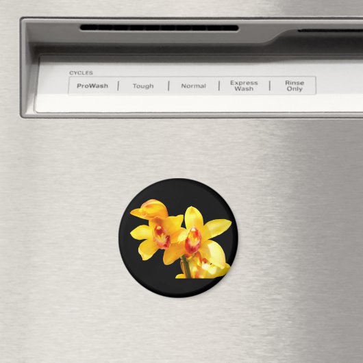 Yellow Cymbidium Orchid Magnet (Insitu (Vaatwasser))