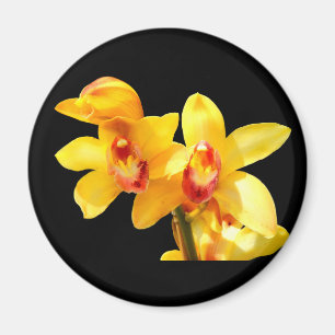 Yellow Cymbidium Orchid Magnet