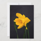Yellow Daffodil Bedankkaart (Voorkant)