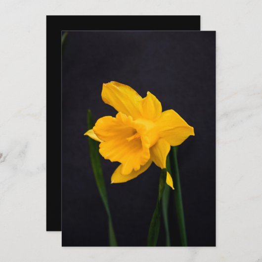 Yellow Daffodil Bedankkaart (Voorkant / Achterkant)