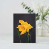 Yellow Daffodil Briefkaart (Staand voorkant)