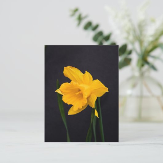 Yellow Daffodil Briefkaart (Staand voorkant)