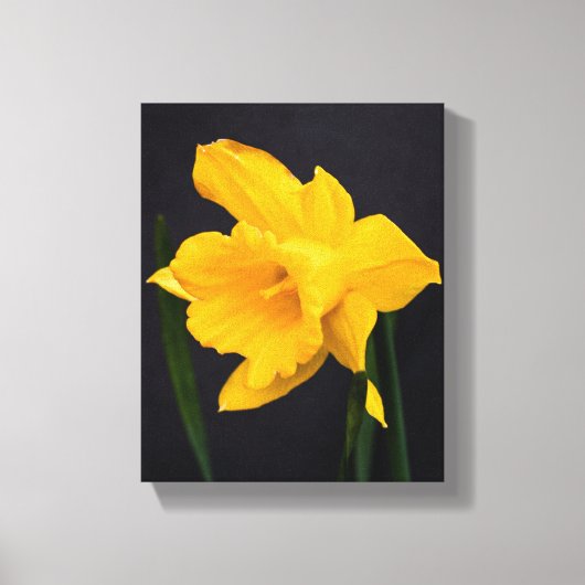 Yellow Daffodil Canvas Afdruk (Voorkant)