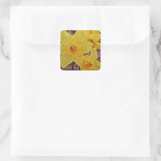 Yellow Daffodil Flower Art Sticker (Tas)