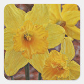 Yellow Daffodil Flower Art Sticker (Voorkant)
