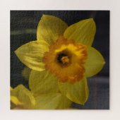 Yellow Daffodil Legpuzzel (Horizontaal)