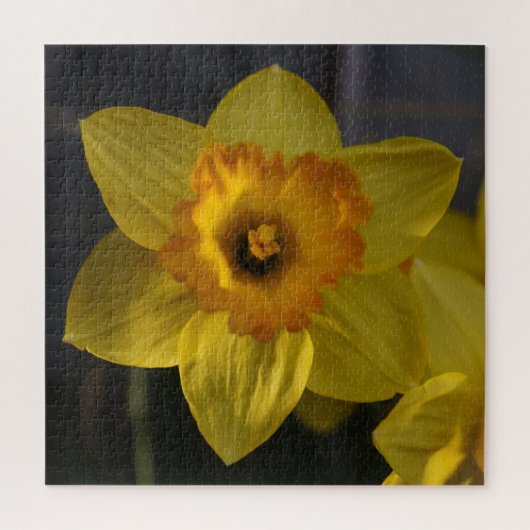 Yellow Daffodil Legpuzzel (Verticaal)