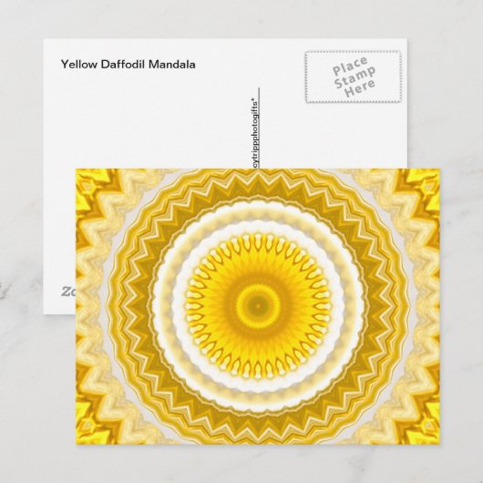 Yellow Daffodil Mandala Pattern Briefkaart (Voorkant / Achterkant)