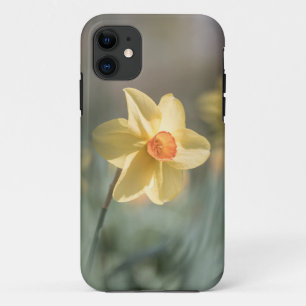 Yellow Daffodil Natuur Foto Case-Mate iPhone Case