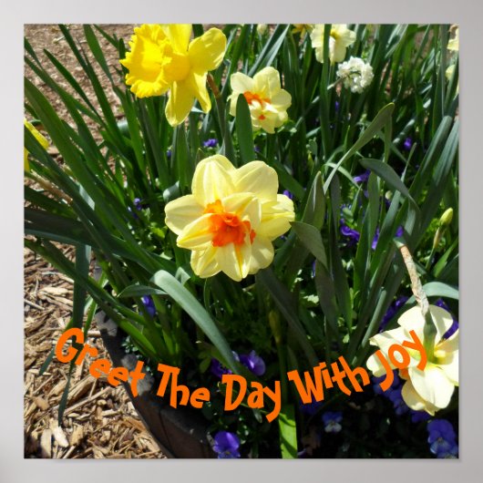 Yellow Daffodil Poster (Voorkant)