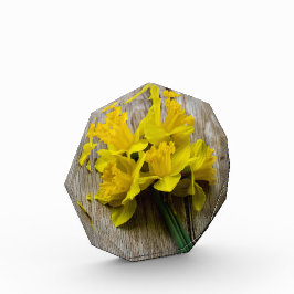 Yellow Daffodils Photo Block Fotoblokken