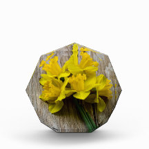 Yellow Daffodils Photo Block