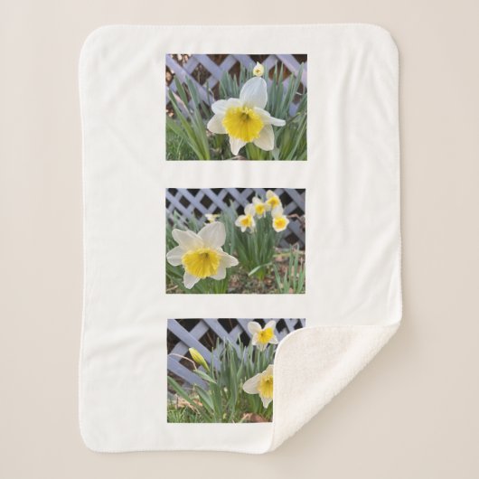 Yellow Daffodils Sherpa Blanket Deken (Voorkant)